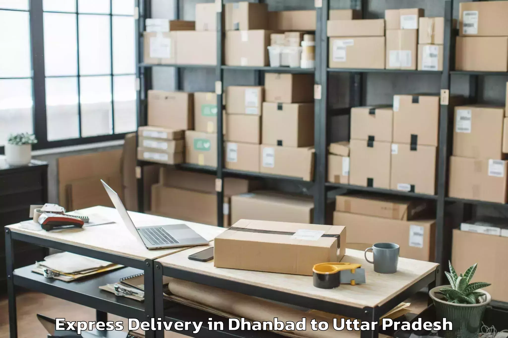 Leading Dhanbad to Aligarh Muslim University Express Delivery Provider